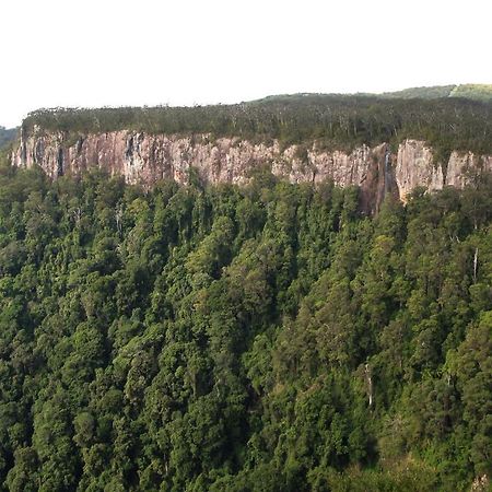 Springbrook Lyrebird Retreat Villa Bagian luar foto