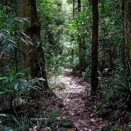 Springbrook Lyrebird Retreat Villa Bagian luar foto