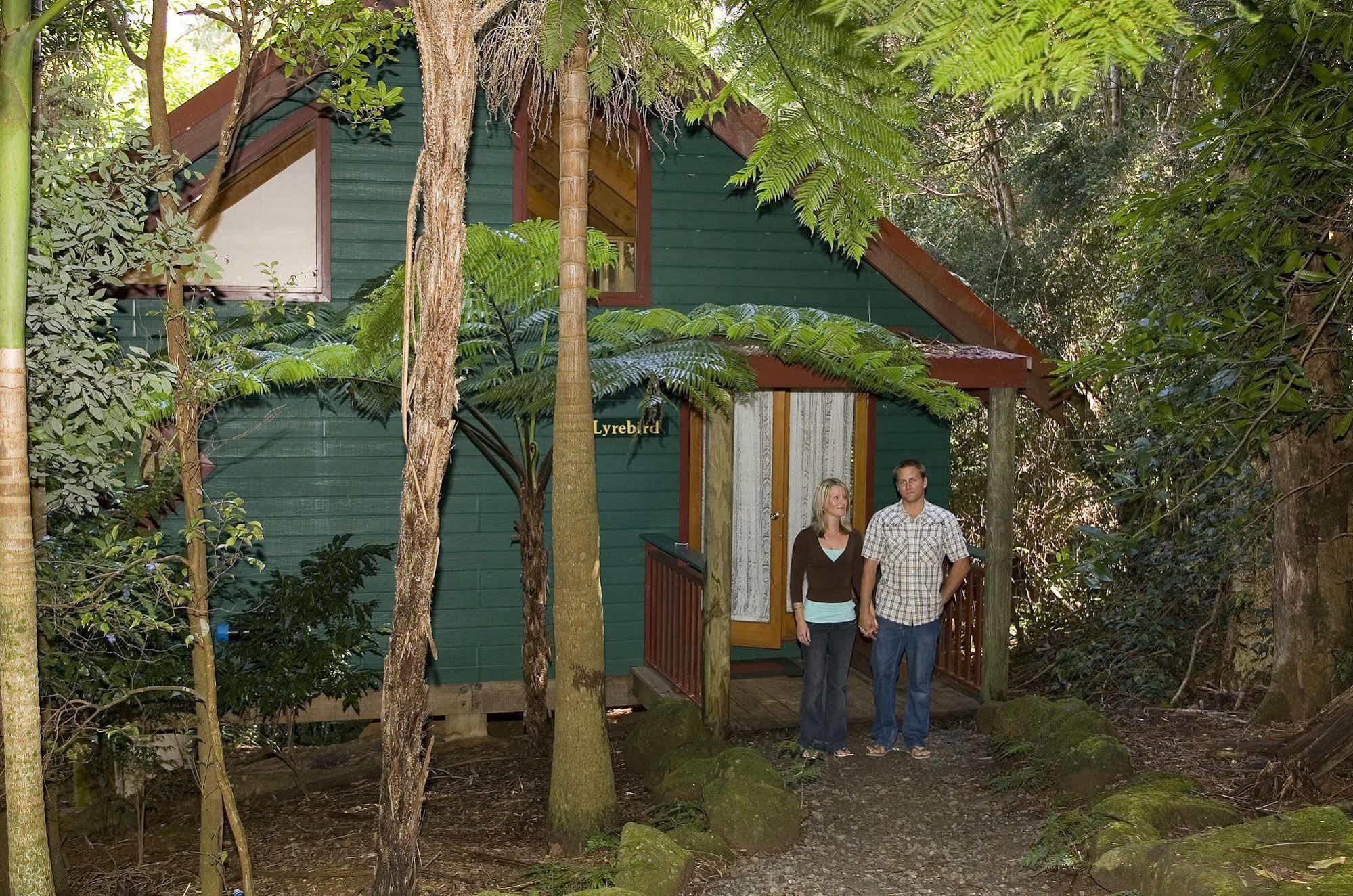 Springbrook Lyrebird Retreat Villa Bagian luar foto