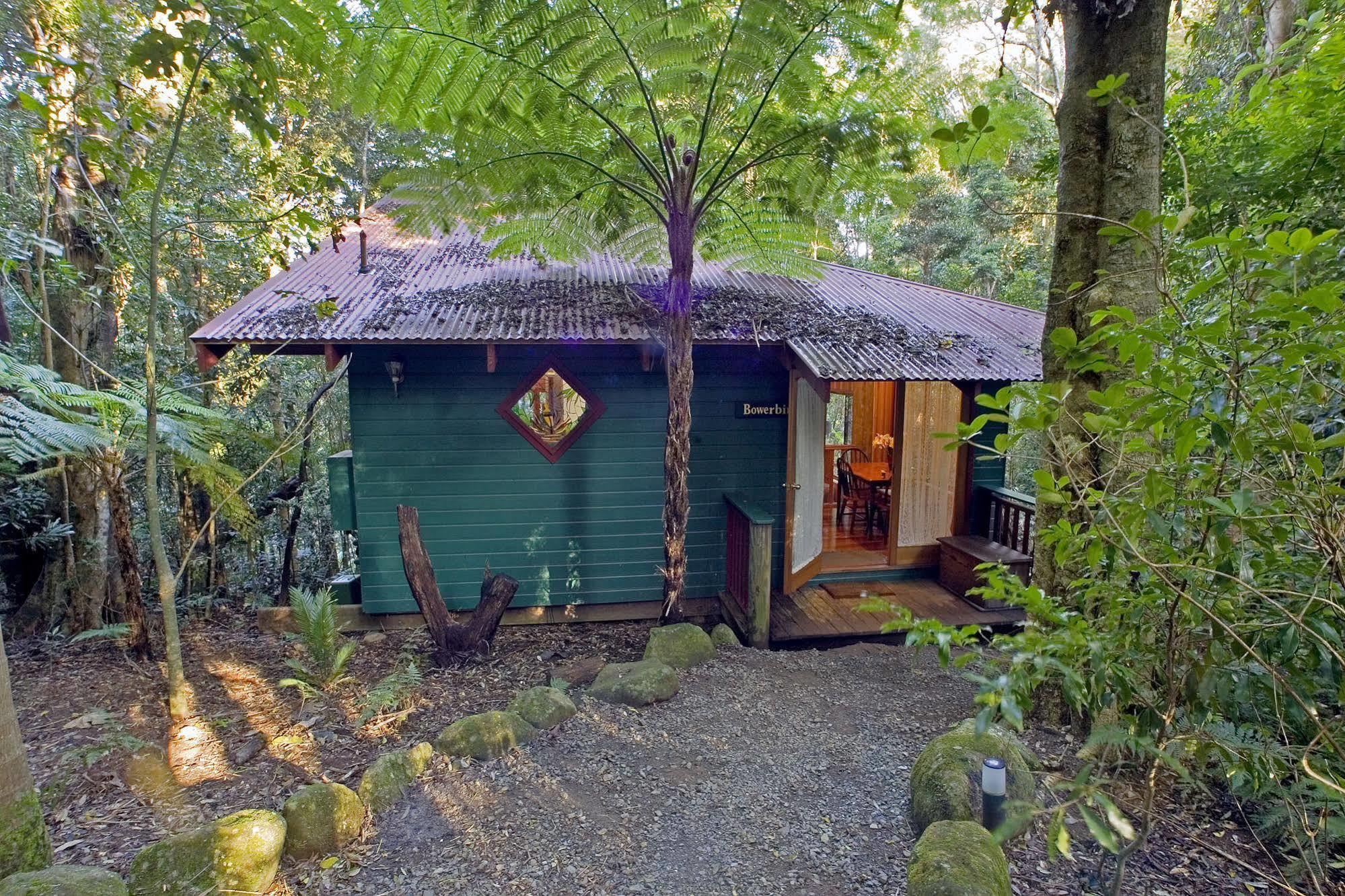 Springbrook Lyrebird Retreat Villa Bagian luar foto