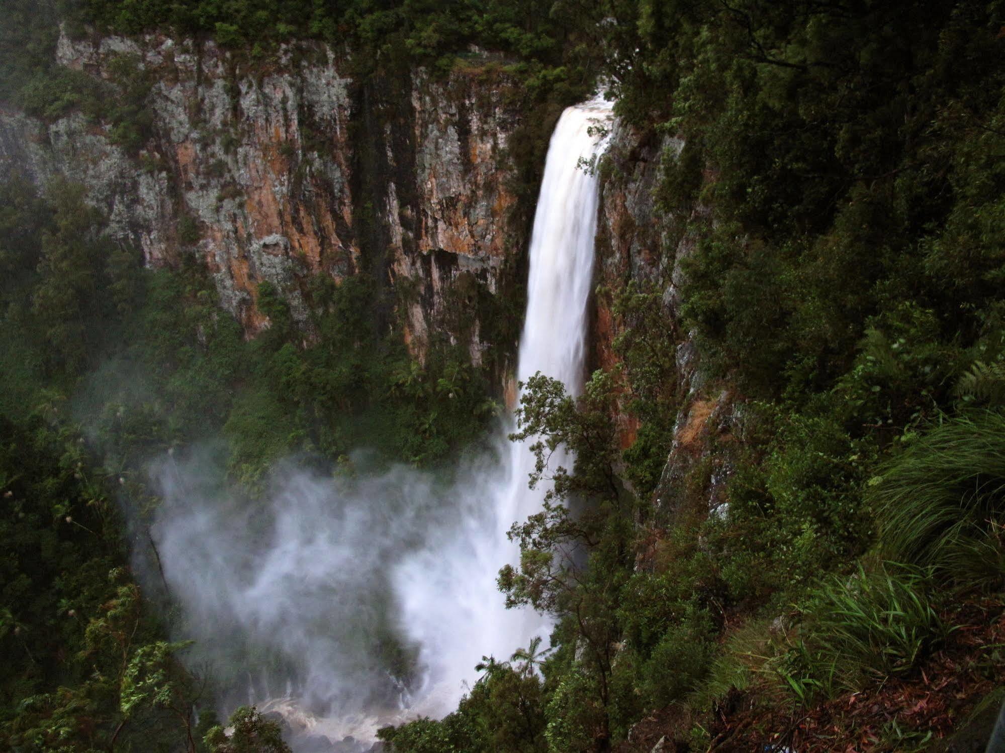 Springbrook Lyrebird Retreat Villa Bagian luar foto