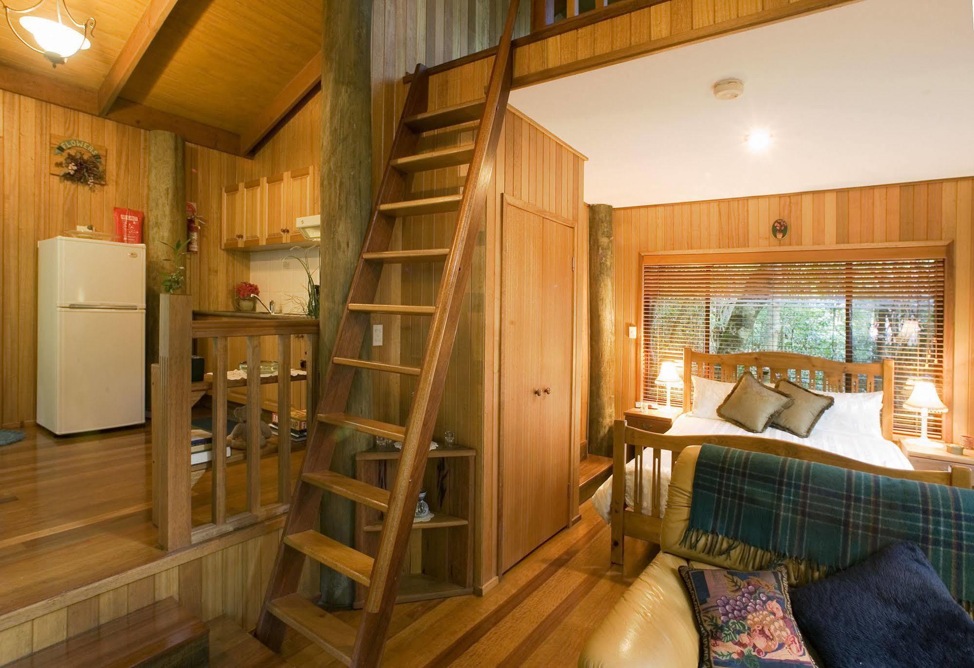 Springbrook Lyrebird Retreat Villa Bagian luar foto