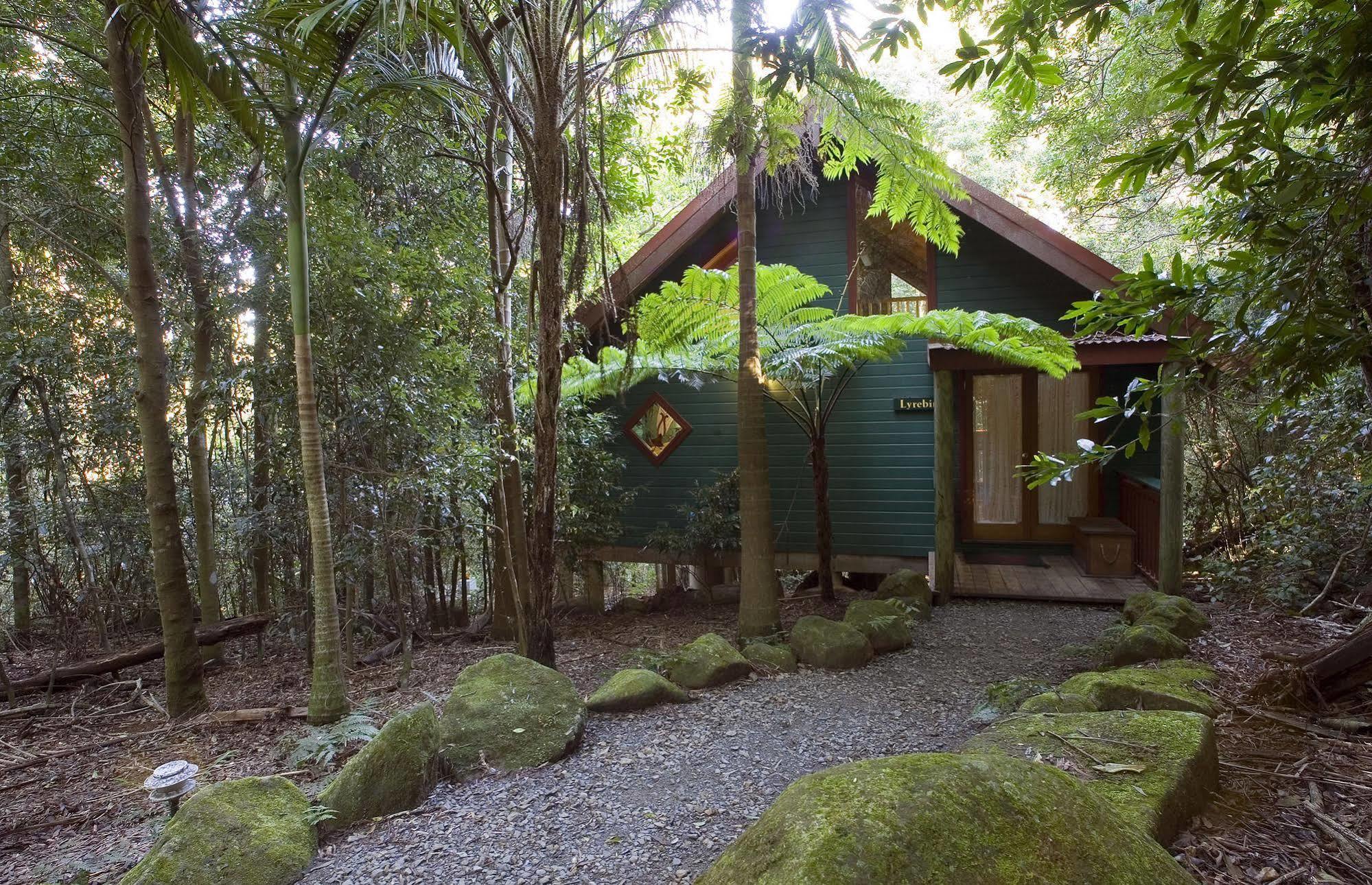 Springbrook Lyrebird Retreat Villa Bagian luar foto