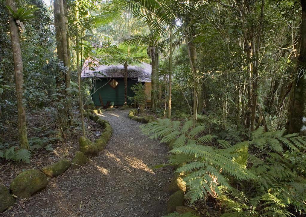 Springbrook Lyrebird Retreat Villa Bagian luar foto