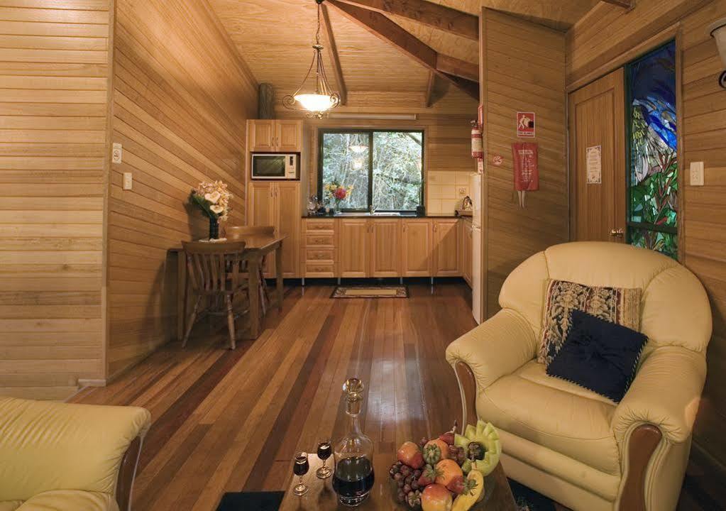 Springbrook Lyrebird Retreat Villa Bagian luar foto