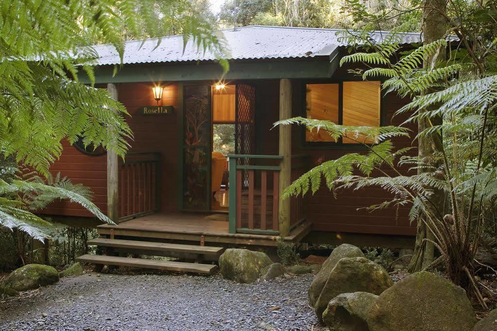 Springbrook Lyrebird Retreat Villa Bagian luar foto